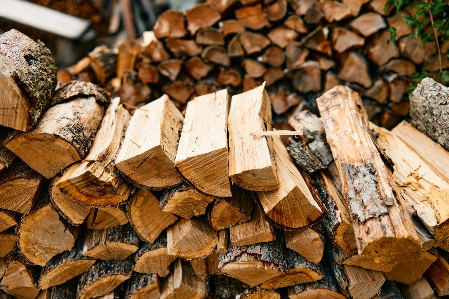 Prix d’un stère de bois en 50 cm en septembre 2025 Tarifs livré — free download